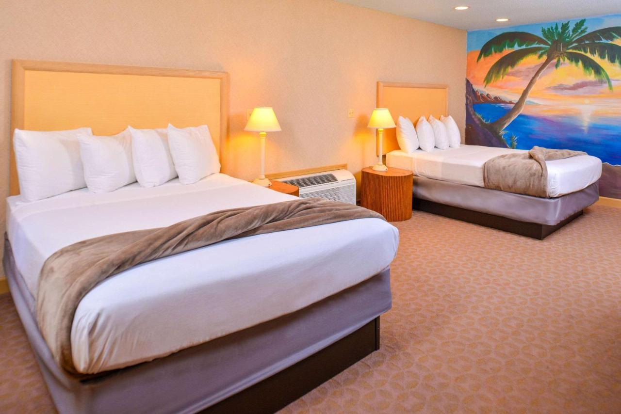 Atlantis Family Waterpark Hotel, Ascend Hotel Collection Lake Delton Εξωτερικό φωτογραφία